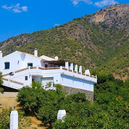 Cortijo Los Madronos Villa Frigiliana Buitenkant foto